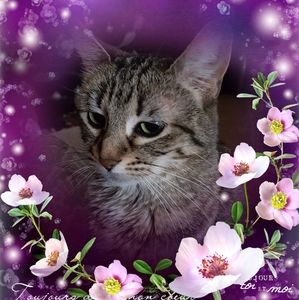 Meet your Posher, Marlene